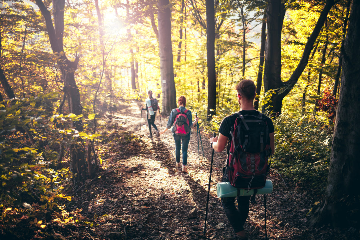 The Hiking Trend: Why Hiking Is Good for Your Health | pjuractive